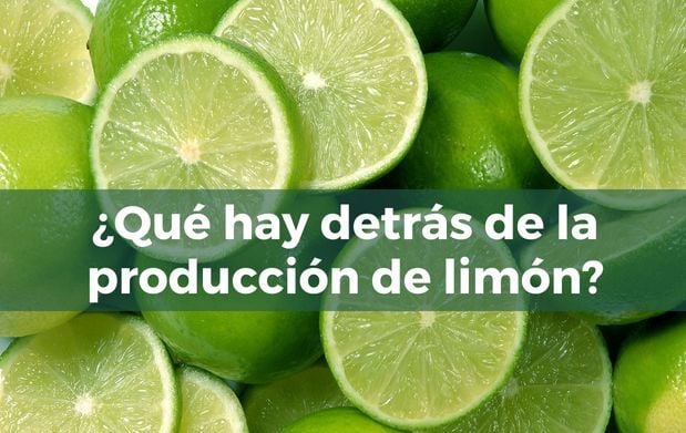 portada_limo_n