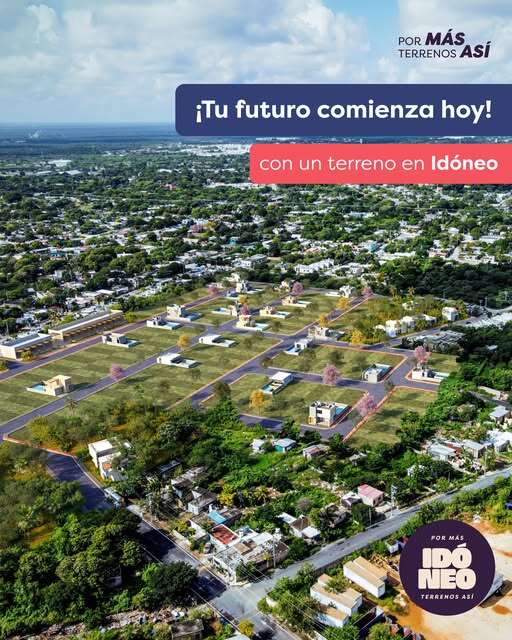 idoneo idoneo